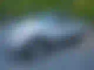 Vehicle Image- 2008 Toyota Tacoma