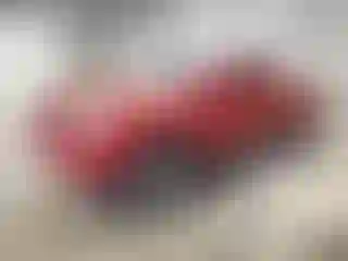 Vehicle Image- 2009 Toyota Tacoma
