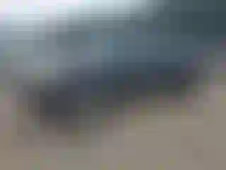 Vehicle Image- 2007 Toyota Tacoma