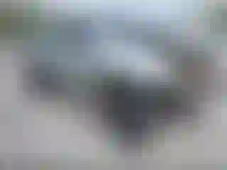 Vehicle Image- 2007 Toyota Tacoma