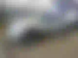 Vehicle Image- 2009 Toyota Tacoma