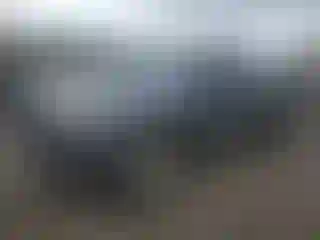 Vehicle Image- 2009 Toyota Tacoma