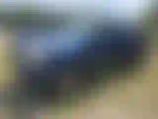 Vehicle Image- 2007 Toyota Tacoma