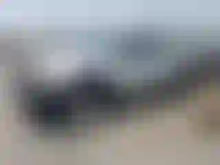 Vehicle Image- 2010 Toyota Tacoma