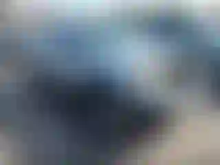 Vehicle Image- 2005 Toyota Tacoma