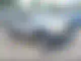 Vehicle Image- 2008 Toyota Tacoma