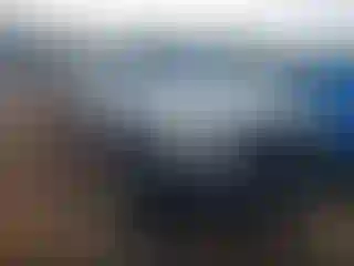 Vehicle Image- 2008 Toyota Tacoma