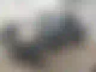 Vehicle Image- 2009 Toyota Tacoma