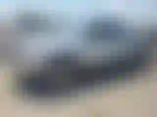 Vehicle Image- 2005 Toyota Tacoma