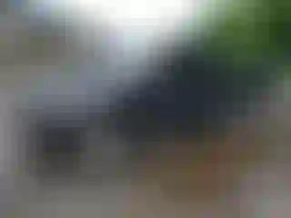 Vehicle Image- 2009 Toyota Tacoma