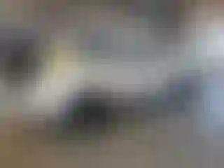 Vehicle Image- 2006 Toyota Tacoma