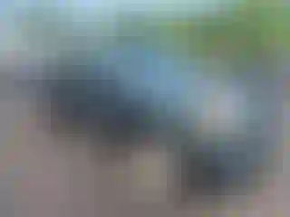 Vehicle Image- 2009 Toyota Tacoma