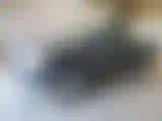 Vehicle Image- 2009 Toyota Tacoma