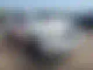Vehicle Image- 2009 Toyota Tacoma