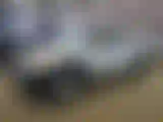 Vehicle Image- 2007 Toyota Tacoma