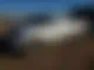 Vehicle Image- 2008 Toyota Tacoma