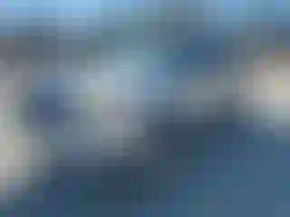 Vehicle Image- 2008 Toyota Tacoma