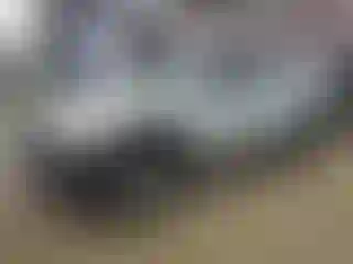 Vehicle Image- 2010 Toyota Tacoma