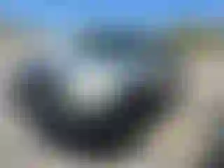Vehicle Image- 2010 Toyota Tacoma