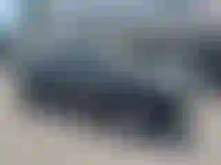 Vehicle Image- 2010 Toyota Tacoma