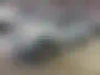 Vehicle Image- 2010 Toyota Tacoma