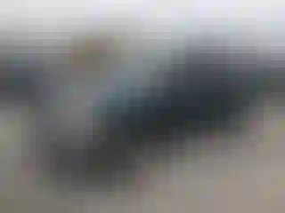 Vehicle Image- 2002 Toyota Tacoma