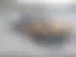 Vehicle Image- 2001 Toyota Tacoma