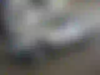 Vehicle Image- 2003 Toyota Tacoma