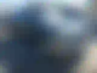 Vehicle Image- 2004 Toyota Tacoma