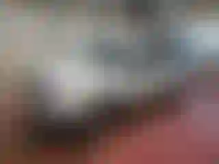 Vehicle Image- 2001 Toyota Tacoma