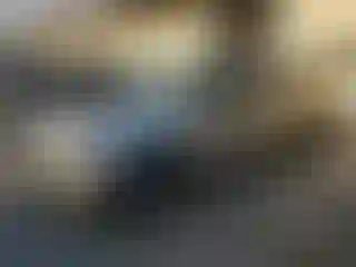 Vehicle Image- 2004 Toyota Tacoma