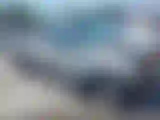 Vehicle Image- 2004 Toyota Tacoma