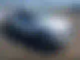 Vehicle Image- 2003 Toyota Tacoma