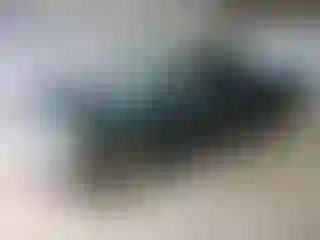 Vehicle Image- 2004 Toyota Tacoma