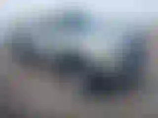 Vehicle Image- 2003 Toyota Tacoma