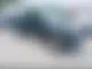 Vehicle Image- 2003 Toyota Tacoma