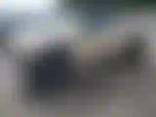 Vehicle Image- 2002 Toyota Tacoma