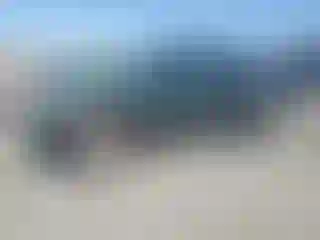 Vehicle Image- 2001 Toyota Tacoma