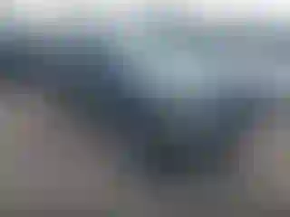 Vehicle Image- 2003 Toyota Tacoma
