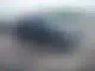 Vehicle Image- 2004 Toyota Tacoma