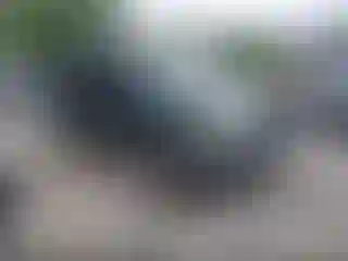 Vehicle Image- 2002 Toyota Tacoma