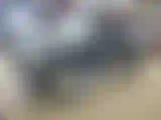 Vehicle Image- 2004 Toyota Tacoma