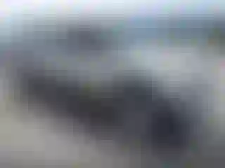 Vehicle Image- 2002 Toyota Tacoma