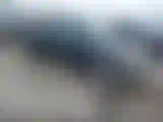 Vehicle Image- 2003 Toyota Tacoma