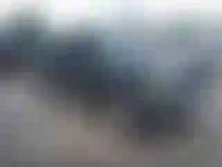 Vehicle Image- 2002 Toyota Tacoma