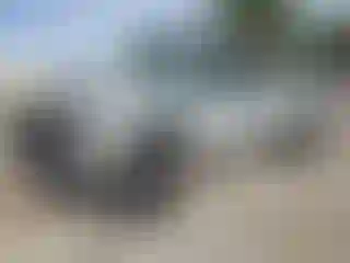 Vehicle Image- 2004 Toyota Tacoma