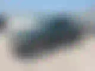 Vehicle Image- 2001 Toyota Tacoma