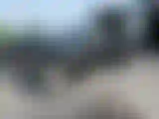 Vehicle Image- 2003 Toyota Tacoma