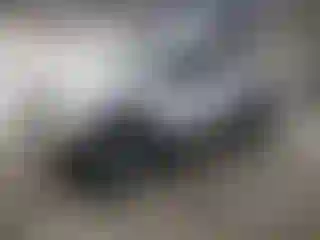 Vehicle Image- 2004 Toyota Tacoma