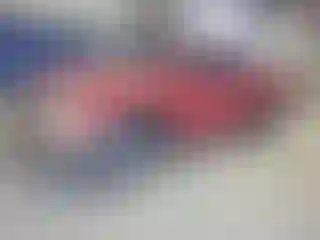 Vehicle Image- 2003 Toyota Tacoma